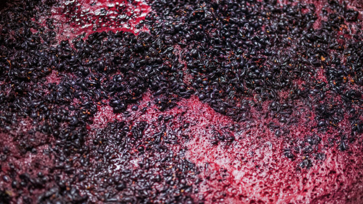 What Is Primary and Secondary Fermentation in Wine?