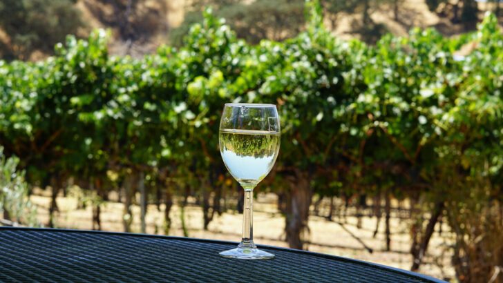 What Is Fumé Blanc?